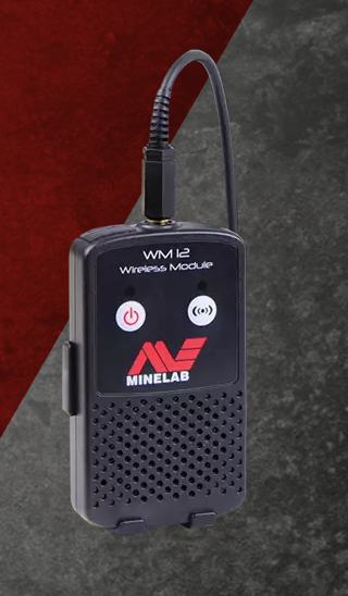 Minelab WM12 Audio Module