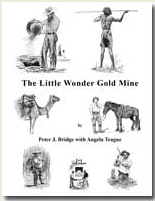 BOOK LTTLE WONDER GOLD MINE