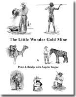 The Little Wonder Gold Mine